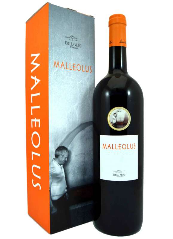  Malleolus Magnum