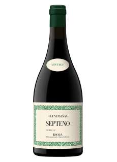 Rödvin Cuentaviñas Septeno