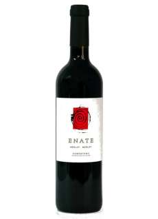 Rödvin Enate Merlot - Merlot