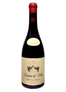 Rödvin Jose Gil Camino de Ribas Parcela La Cóncova