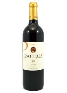 Rödvin Paulus