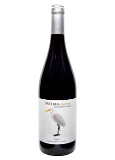 Rödvin Piedra  Selección Ecológico