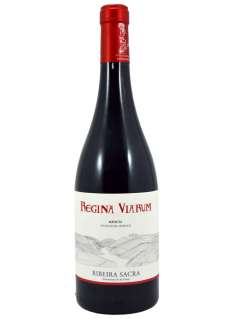 Rödvin Regina Viarum Mencía 2024 - 3 Uds.
