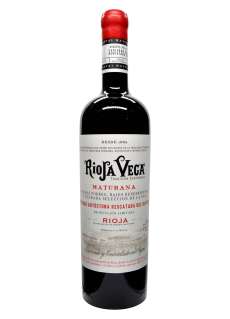 Rödvin Rioja Vega Maturana