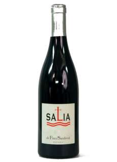 Rödvin Salia