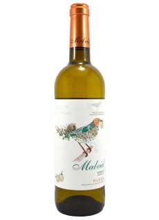 Vitt vin Malvid Verdejo