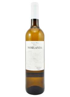 Vitt vin Morlanda Blanc