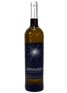 Vitt vin Novilunio