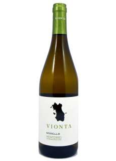 Vitt vin Vionta Godello